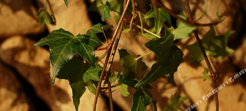 莫干山陌遇民宿图片