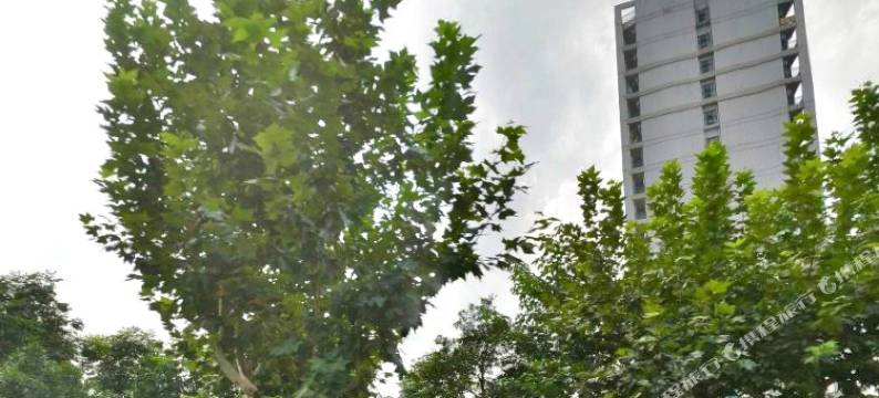 杭州易融酒店(浙大城院善贤地铁站店)图片