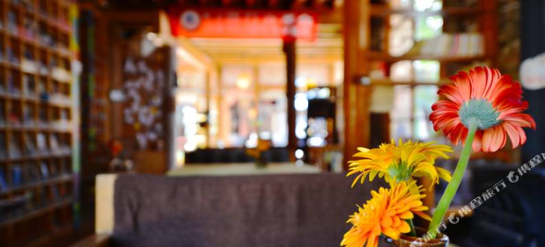 丽江束河K2国际青旅图片