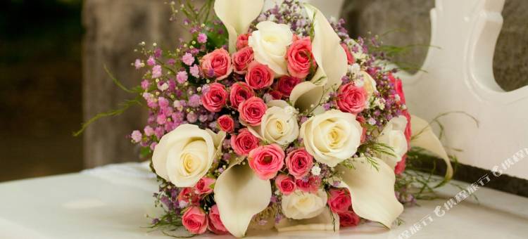 阿括斯市区酒店(Alqush Downtown Hotel)图片