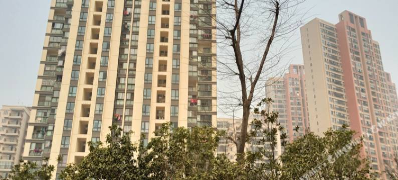 武汉温馨江景房/江滩/古琴台归元寺黄鹤楼东湖酒店式公寓图片