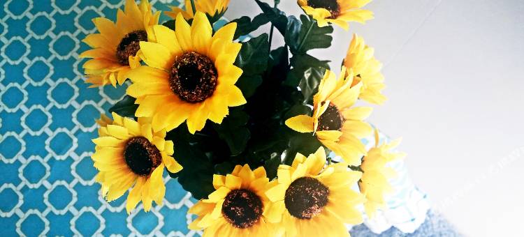 北京格调小资公寓图片