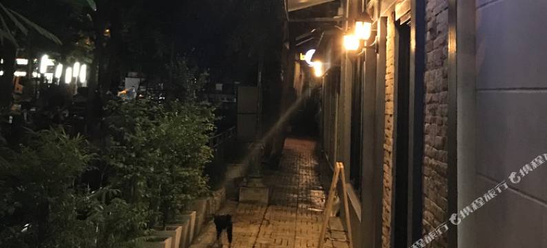 U 静夜青年旅舍(U-Night Hostel)图片