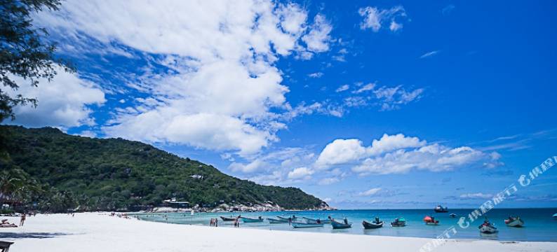 帕岸岛哈林小天堂(Little Paradise)图片