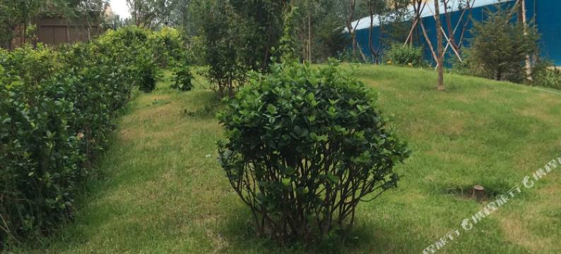 昌黎爱妤风情酒店式公寓图片