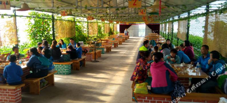 额尔塔拉蒙古包绿色庄园图片