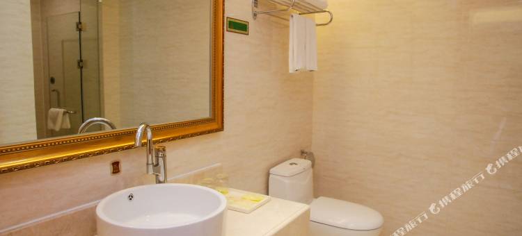 维也纳国际酒店(东莞麻涌中心大道店)图片