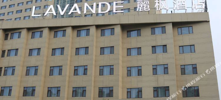 麗枫酒店(泰安东岳大街岱庙店)图片