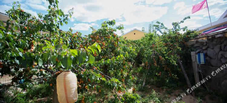 中卫童家乐园图片