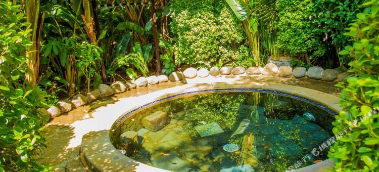 雷州樟树湾大酒店图片