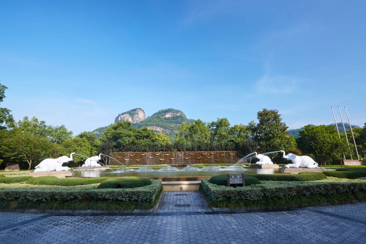 武夷山悦华酒店(印象大红袍店)图片