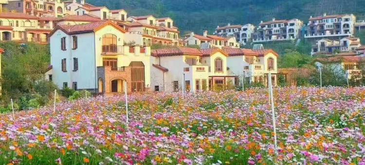 龙门富力南昆山温泉养生谷半山温泉别墅图片