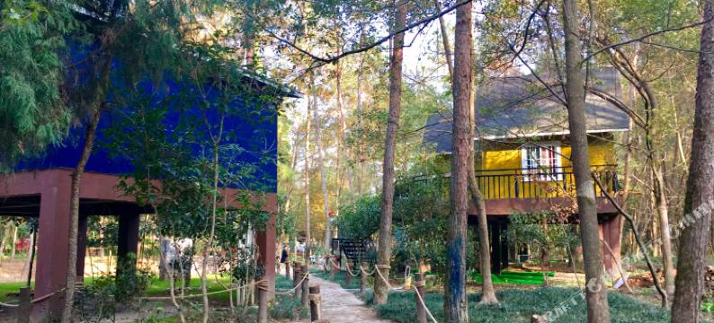 仙居欧意小镇图片