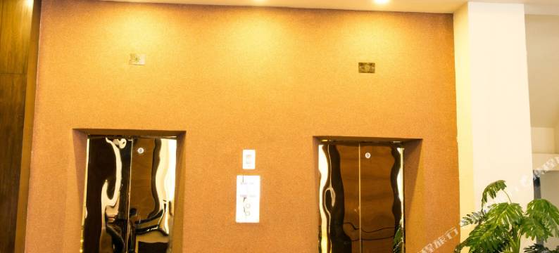 皇家辛吉酒店(Hotel Royal Singi)图片