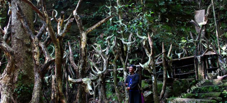 西盟秘境佤寨稻田庄园图片