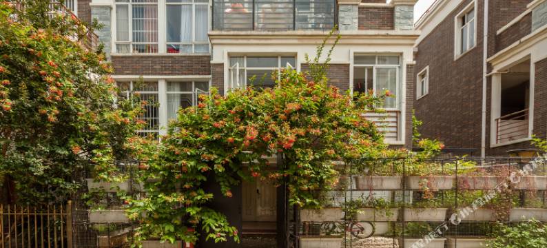 南宁無上club联排别墅图片