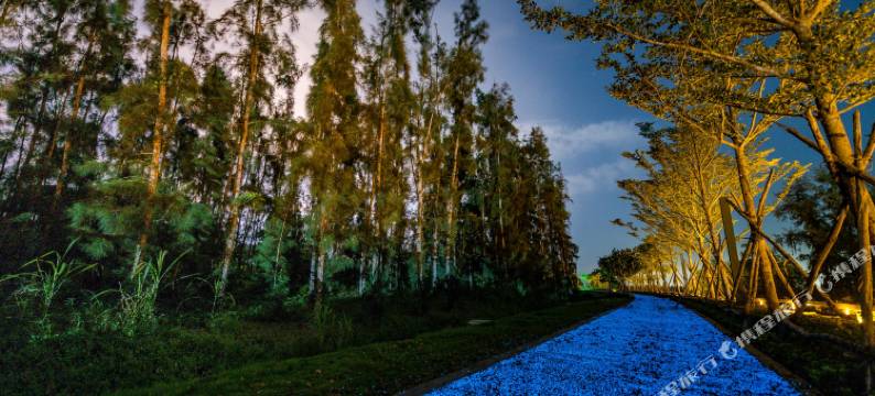 琼海博鳌亚洲论坛东屿岛大酒店图片