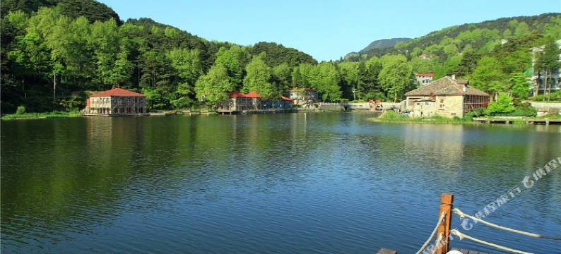 庐山陈阿姨家庭旅馆图片