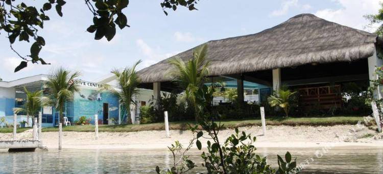 阿丽拉红树林生态度假村-由海维客房管理(Ariella Mangrove & Eco Resort by Hiverooms)图片