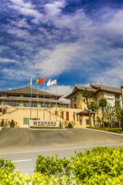 登封中州华鼎饭店图片