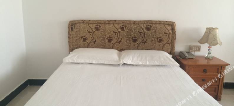 广州开发区半岛酒店图片