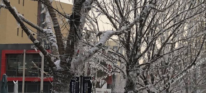 隐觉Loft和风酒店式公寓(北京新国展店)图片