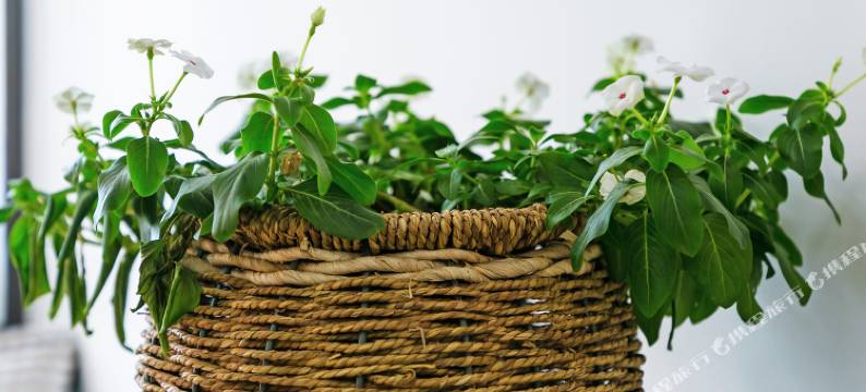 成都七月上明宿普通公寓(桃都大道北京路口店)图片