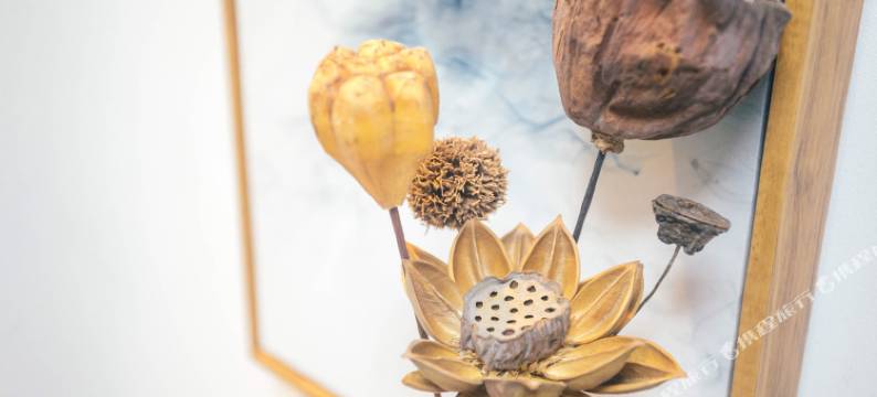 上海懒悠悠公寓(建国中路店)图片