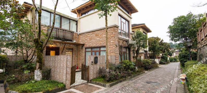 大邑王山雨雪霏扉别墅图片