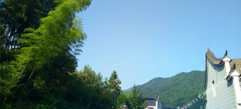 竹林轩民宿图片