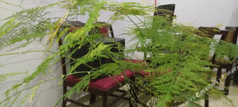 苏州西山近山湖民宿图片