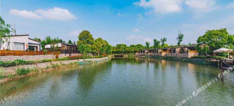 启东呆住·番茄俱乐部图片