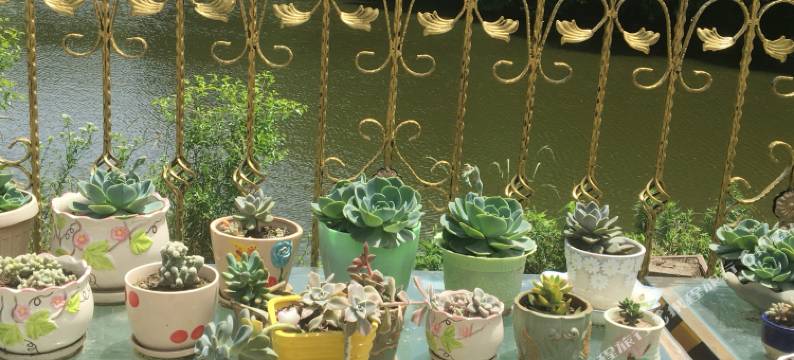 舟山市朱家尖甜蜜人家客栈图片