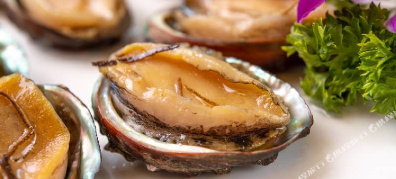 深圳星河东山珍珠岛酒店图片