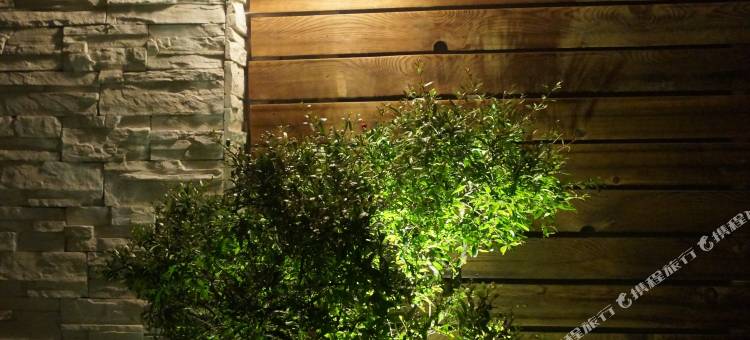 丽江许愿树青年旅舍(中济海店)图片