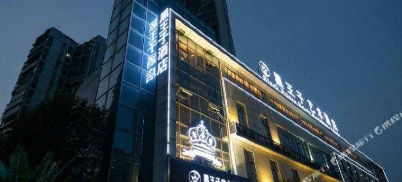 黑王子艺术酒店(泸州龙马潭区政府店)图片