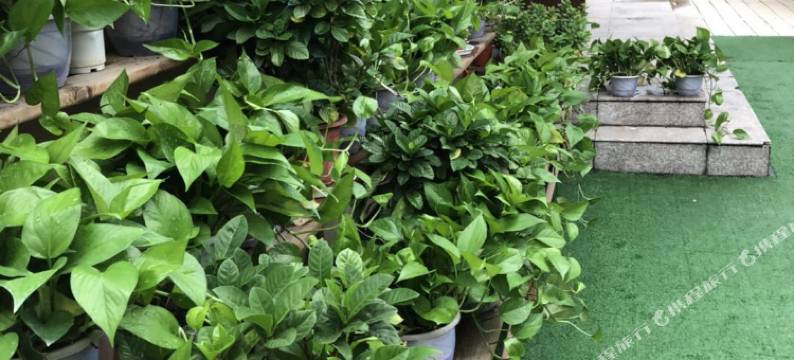 南京蒹葭印象青旅图片