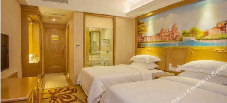 维也纳酒店(商城崇福大道店)图片