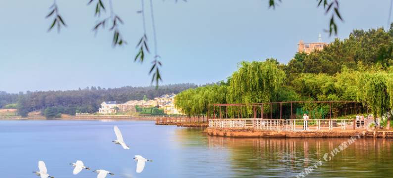 来安白鹭岛度假村图片