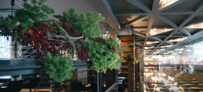 重庆圣荷酒店图片