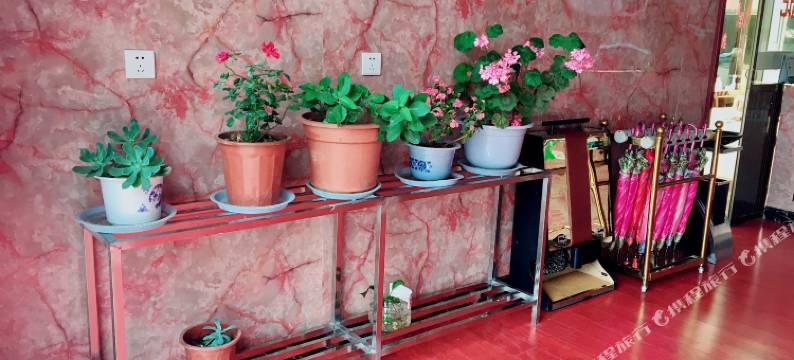 吉隆珠峰后花园酒店图片