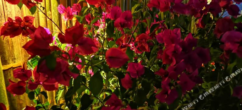 阳朔疏影阑珊客栈图片