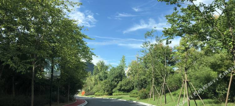 杭州田野商务度假民宿(青山湖宝龙店)图片