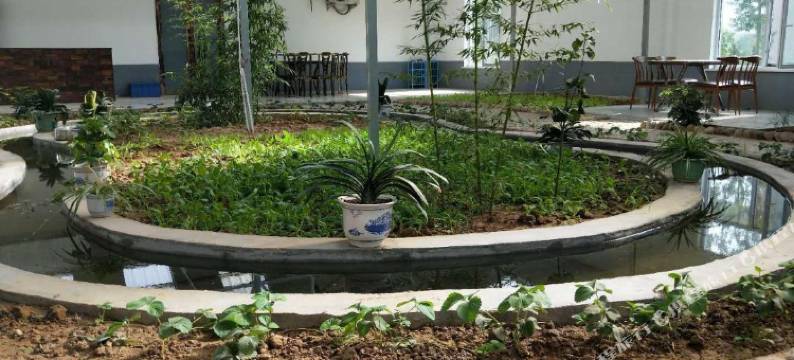 灵石大清庄生态酒店图片