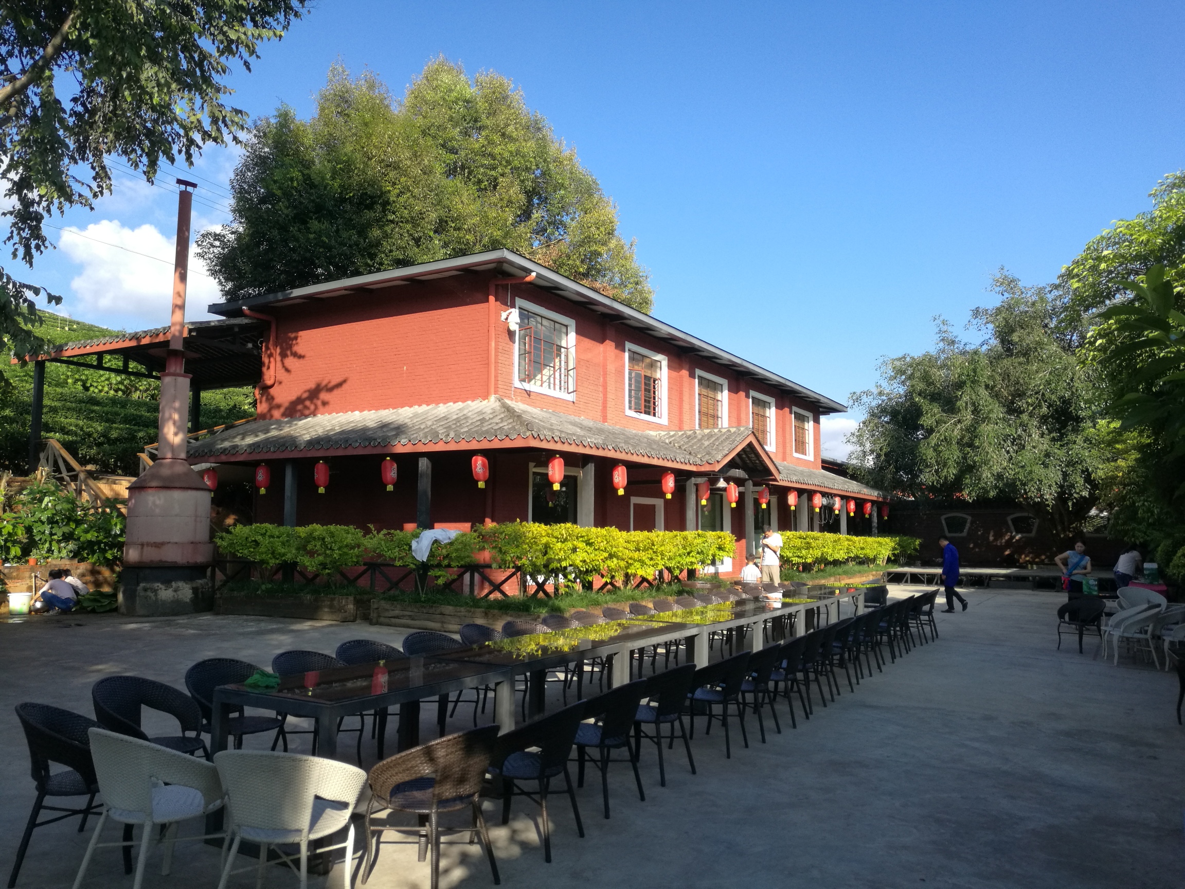Yinsheng Tea Manor Over view