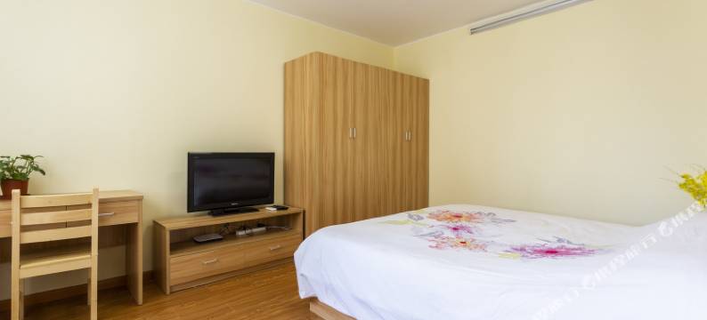 上海陆家嘴核心区域的温馨公寓(21号店)图片