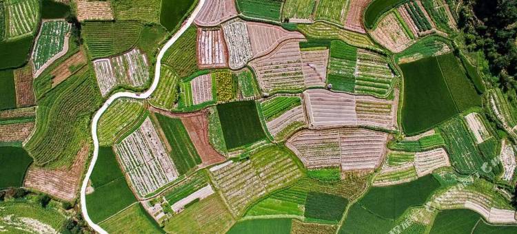 黄山澍德堂酒店图片