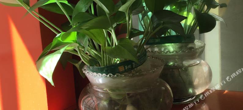 珠海横琴香樟民宿图片