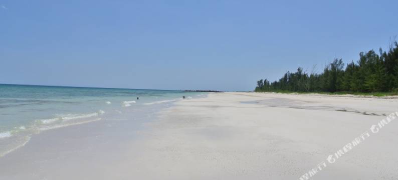 Tyne Beach Terrace Apartments & Houses图片