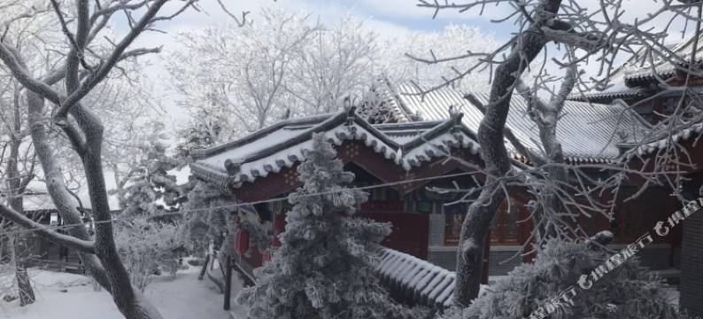 泰安云巢宾馆(泰山顶店)图片